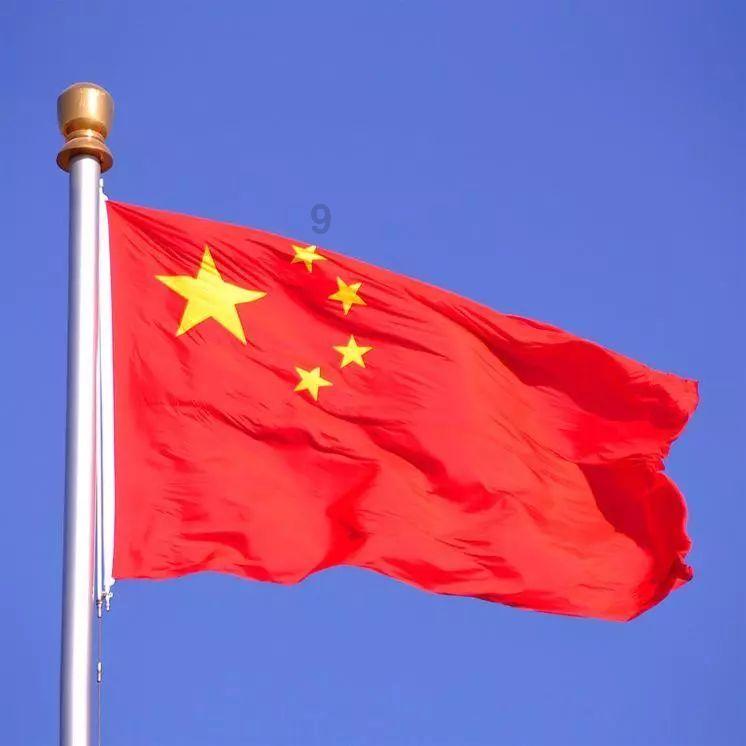 凝聚共识,奋勇前行!全委会分组讨论,他们这样说